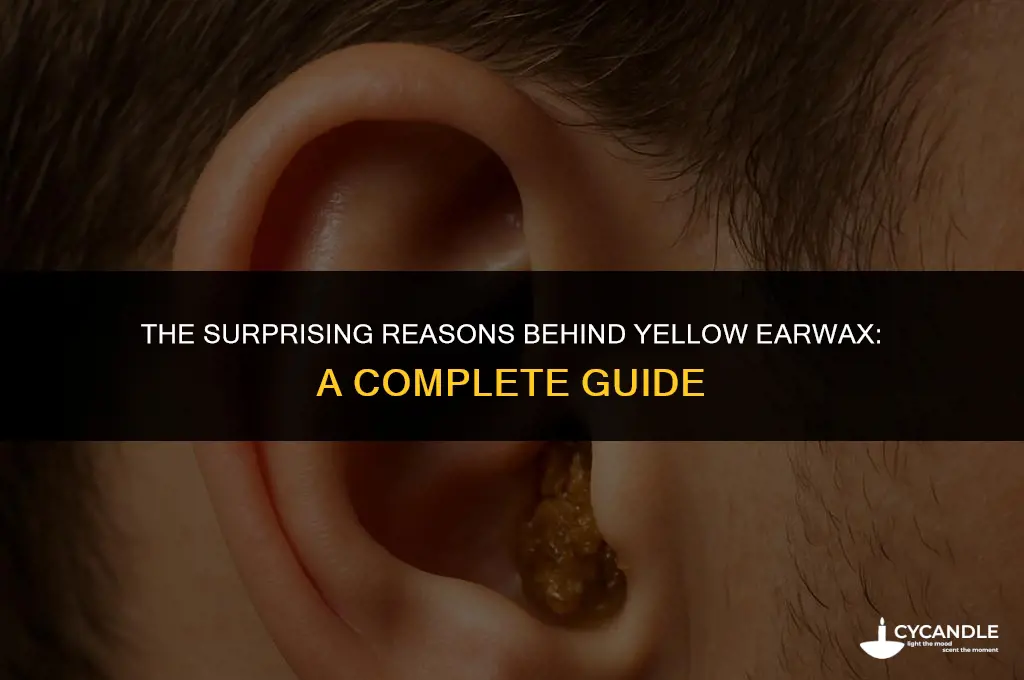 why ear wax yellow