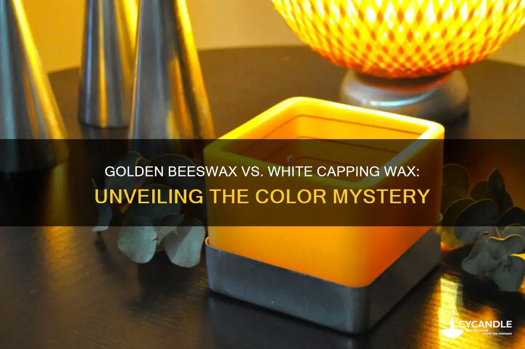 why is beeswax golden colored and cap wax is white