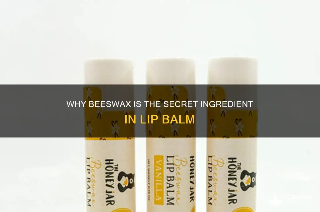 why is beeswax in lip balm