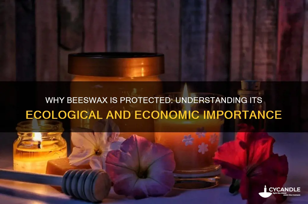 why is beeswax protected