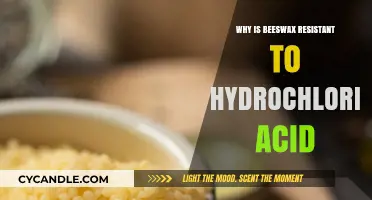 Beeswax's Unique Resistance to Hydrochloric Acid: Uncovering the Science