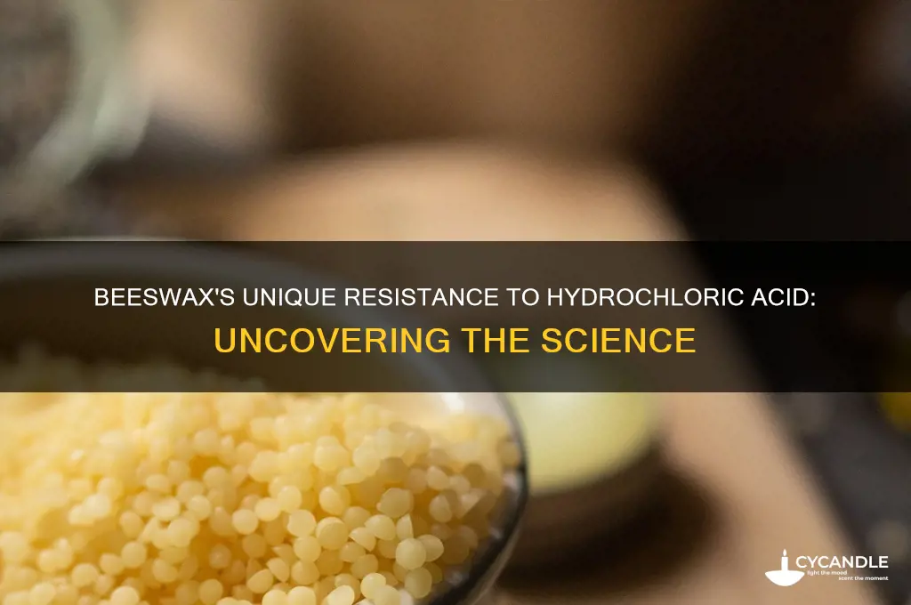 why is beeswax resistant to hydrochloric acid