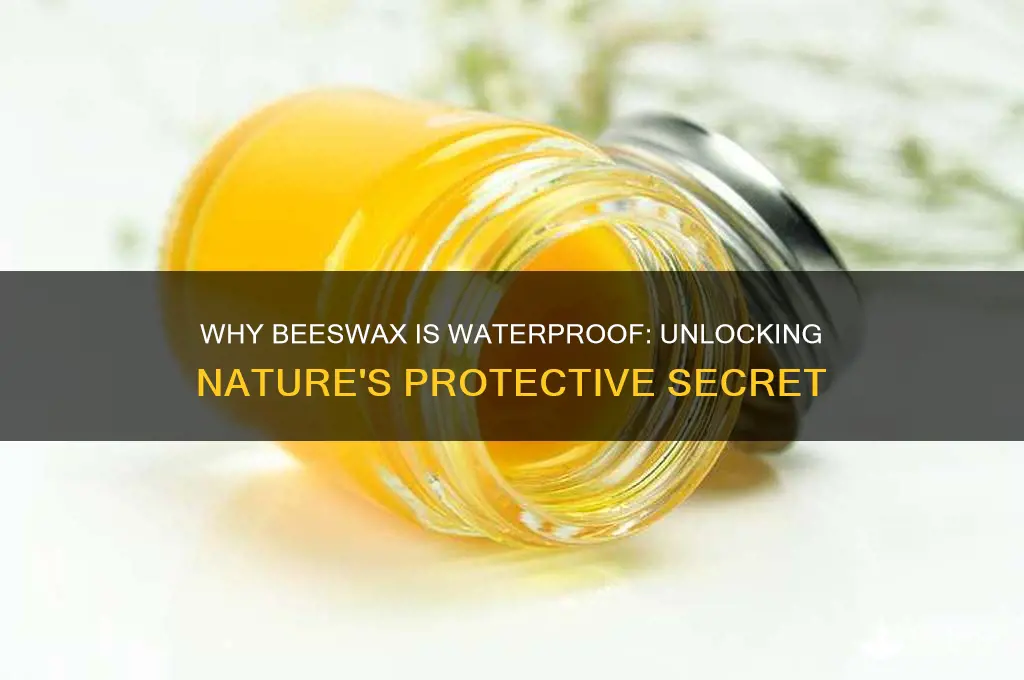 why is beeswax waterproof