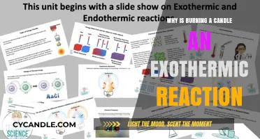 Candle Burning: Unveiling the Exothermic Reaction's Warmth and Science