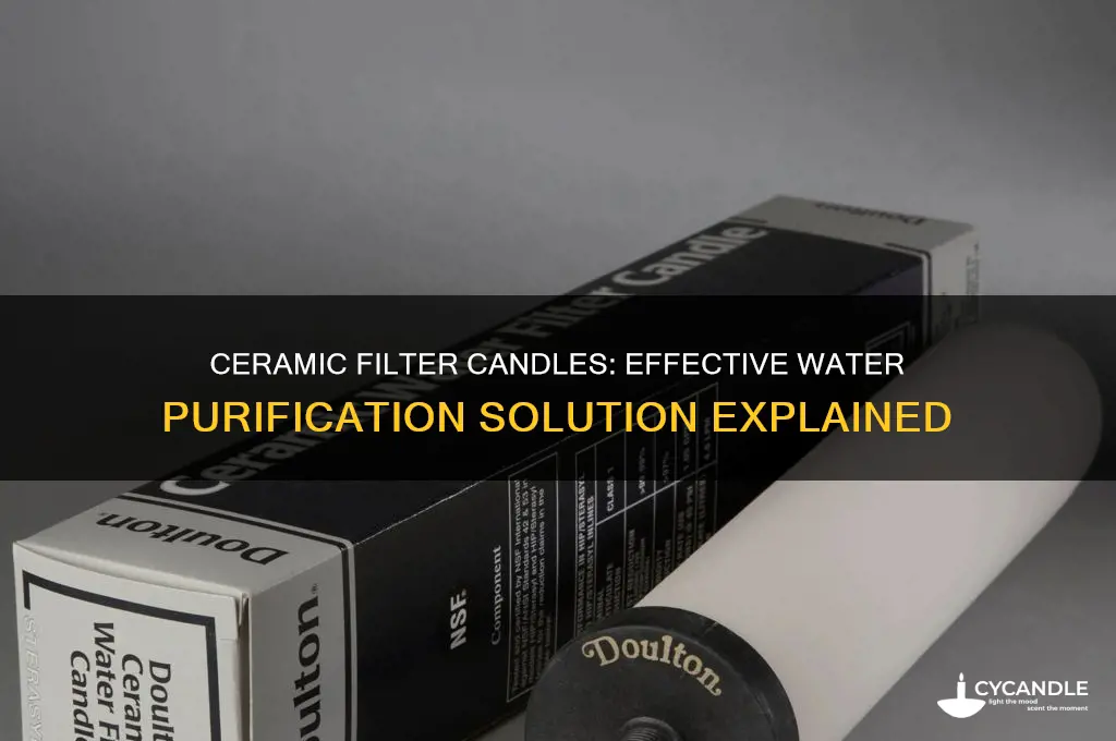 why is ceramic filter candle used in water purification