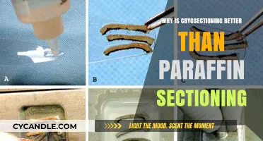 Cryosectioning vs. Paraffin: Superior Preservation, Speed, and Tissue Integrity