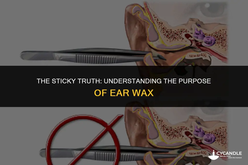 why is ear wax sticky