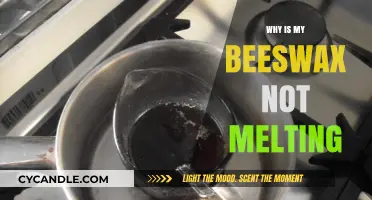 Troubleshooting Beeswax Melting Issues: Common Causes and Solutions