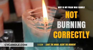 Troubleshooting Palm Wax Candles: Common Burning Issues and Solutions