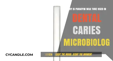 Paraffin Wax Tubes: Essential Tool in Dental Caries Microbiology Research