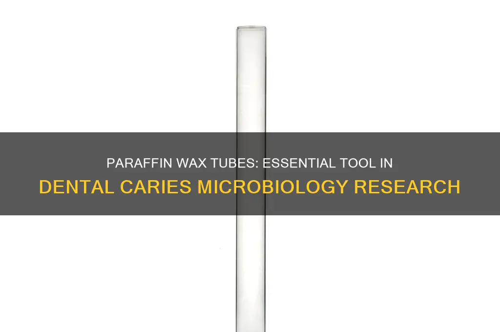 why is paraffin wax tube used in dental caries microbiology