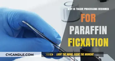 Tissue Processing for Paraffin Fixation: Essential Steps and Benefits