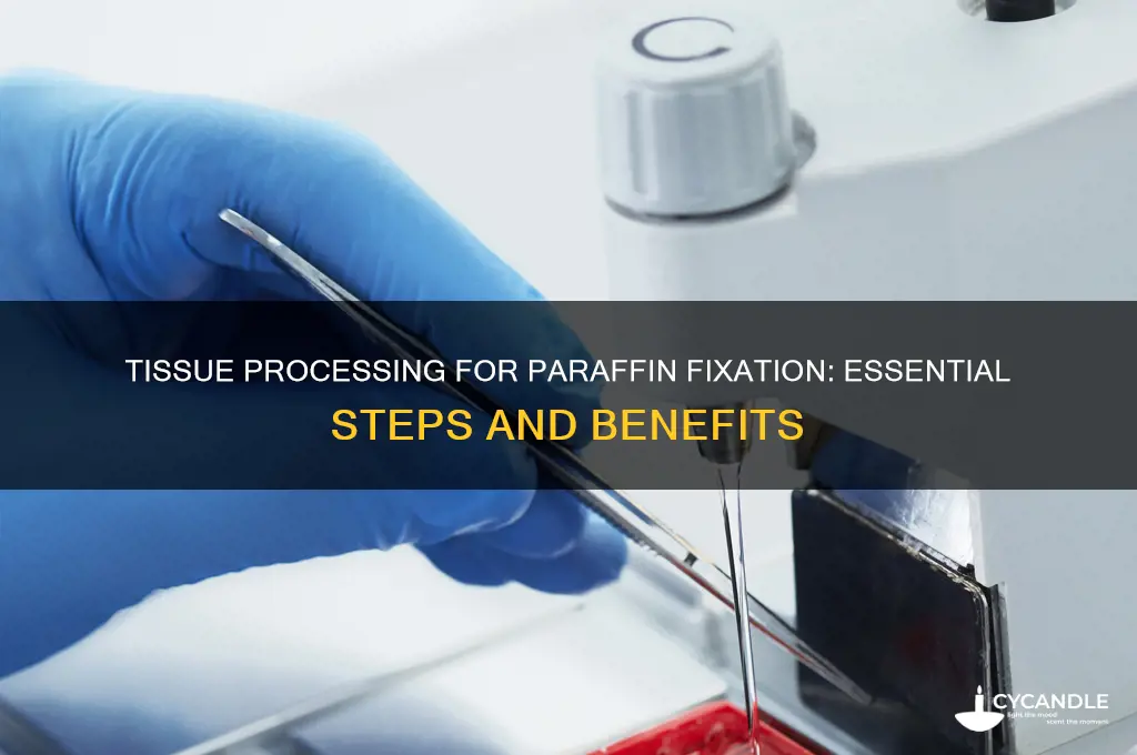 why is tissue processing required for paraffin ficxation