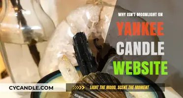 Missing Moonlight: Why Yankee Candle's Website Doesn't Feature This Scent