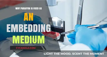 Why Paraffin is the Preferred Embedding Medium in Histology
