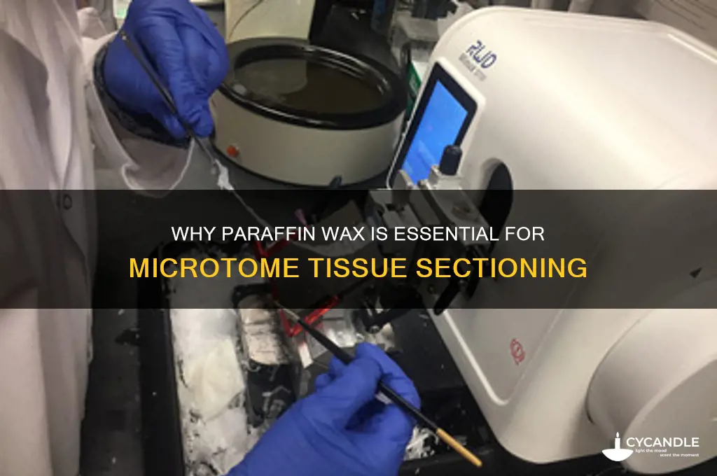 why paraffin wax is used in microtome sectioning
