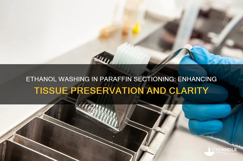 why successive wash ethanol for paraffin section