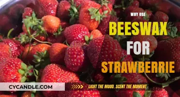 Beeswax for Strawberries: Enhancing Freshness, Flavor, and Shelf Life Naturally