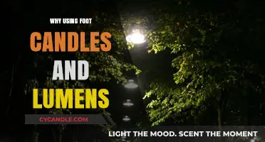 Foot Candles vs. Lumens: Choosing the Right Light Measurement