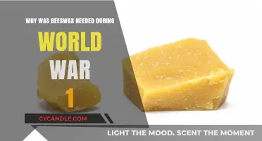 Beeswax's Vital Role in World War I: Unsung Hero Explained