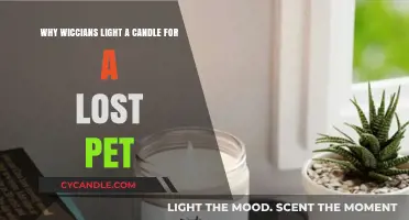 Honoring Lost Pets: Wiccan Candle Rituals for Healing and Remembrance