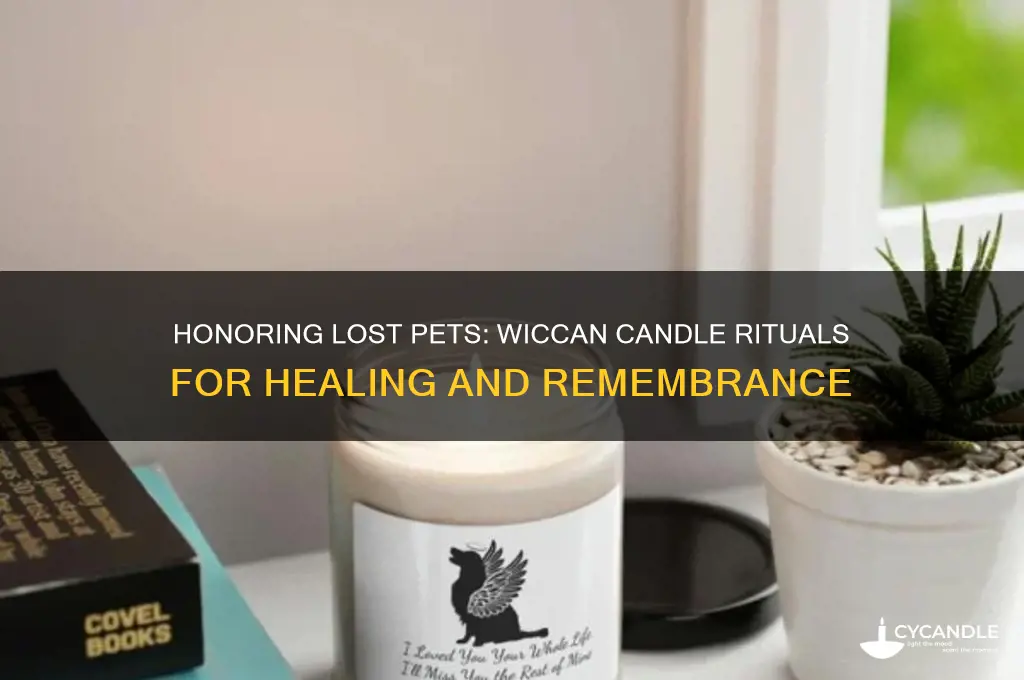 why wiccians light a candle for a lost pet