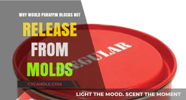 Troubleshooting Paraffin Block Release: Common Mold Issues and Solutions