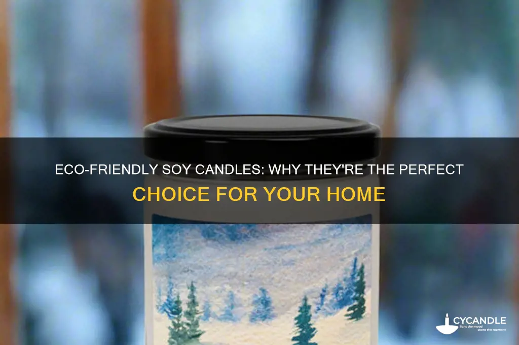 why you should buy soy candles