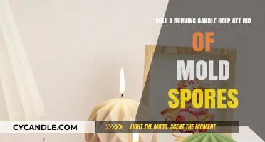 Can Burning Candles Eliminate Mold Spores? Unveiling the Truth