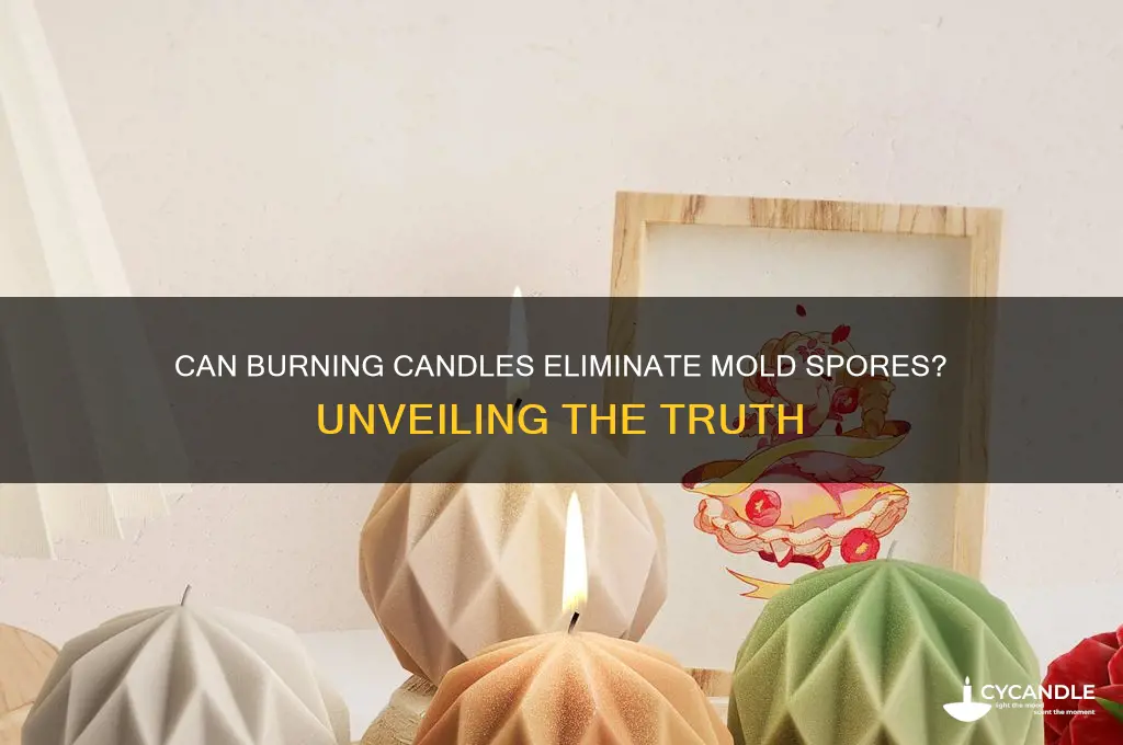 will a burning candle help get rid of mold spores