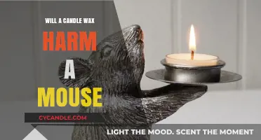 Candle Wax and Mice: Potential Harms and Safety Tips