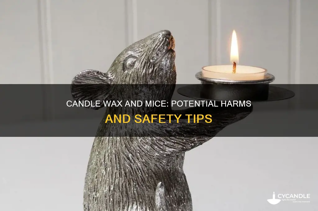 will a candle wax harm a mouse