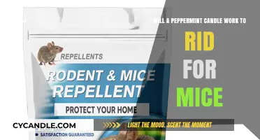 Can Peppermint Candles Effectively Repel Mice? A Natural Solution Explored