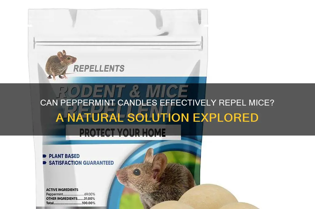 will a peppermint candle work to rid for mice