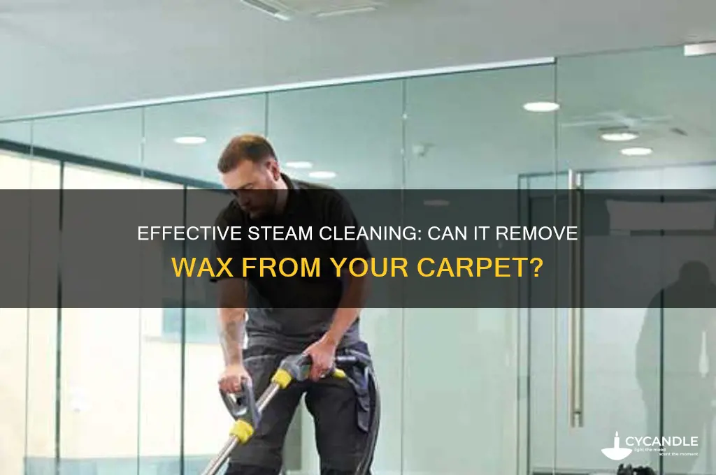 will a steam cleaner remove wax from carpet
