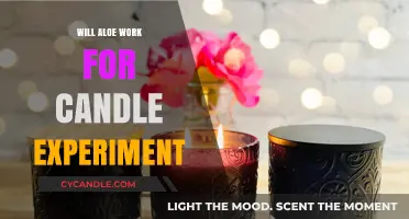 Aloe in Candles: Does It Burn or Just Glow?