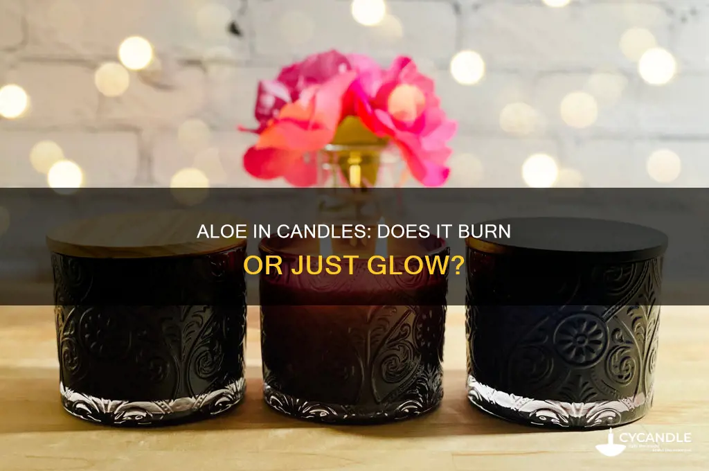 will aloe work for candle experiment