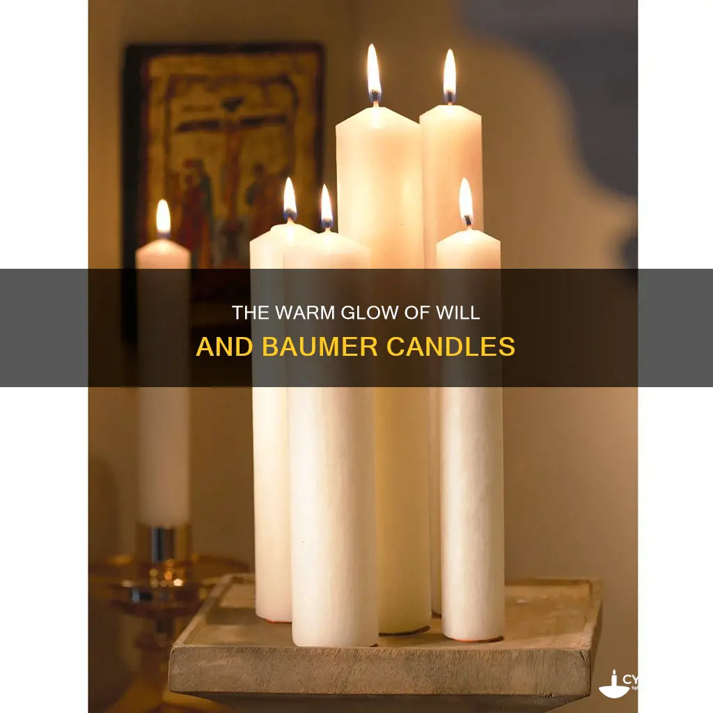 will and baumer candles