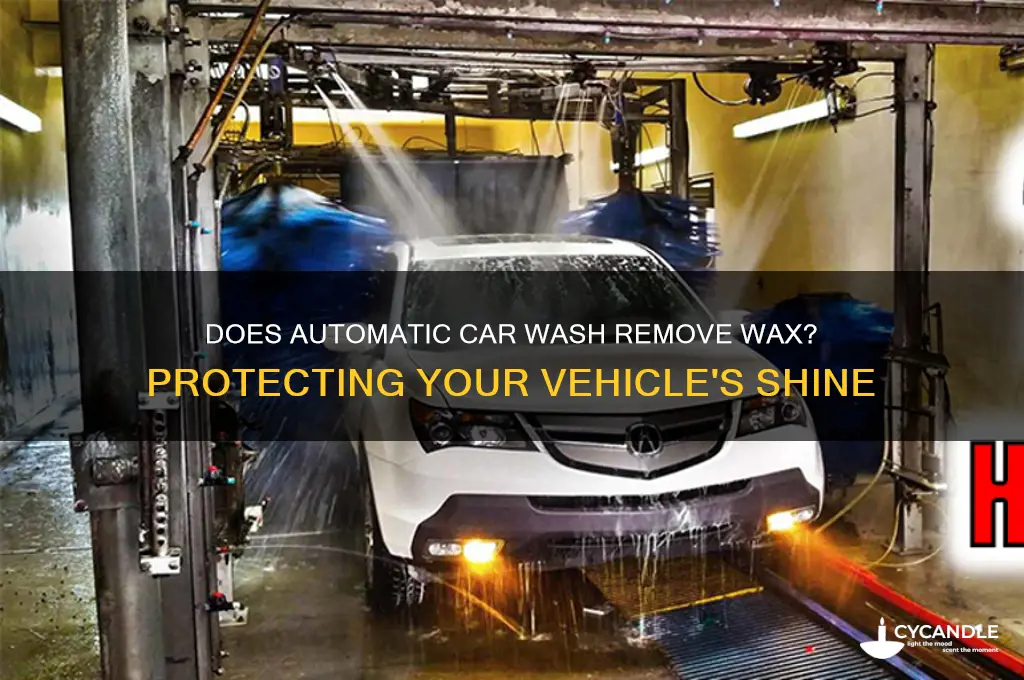 will automatic car wash remove wax