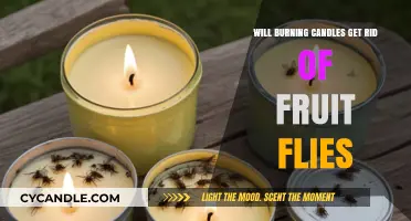 Can Burning Candles Effectively Eliminate Fruit Flies in Your Home?
