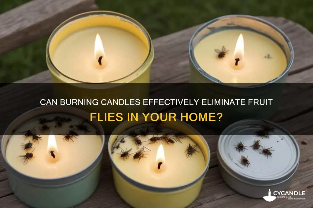 will burning candles get rid of fruit flies