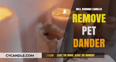 Can Burning Candles Effectively Eliminate Pet Dander in Your Home?