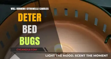 Can Citronella Candles Keep Bed Bugs Away? The Truth Revealed