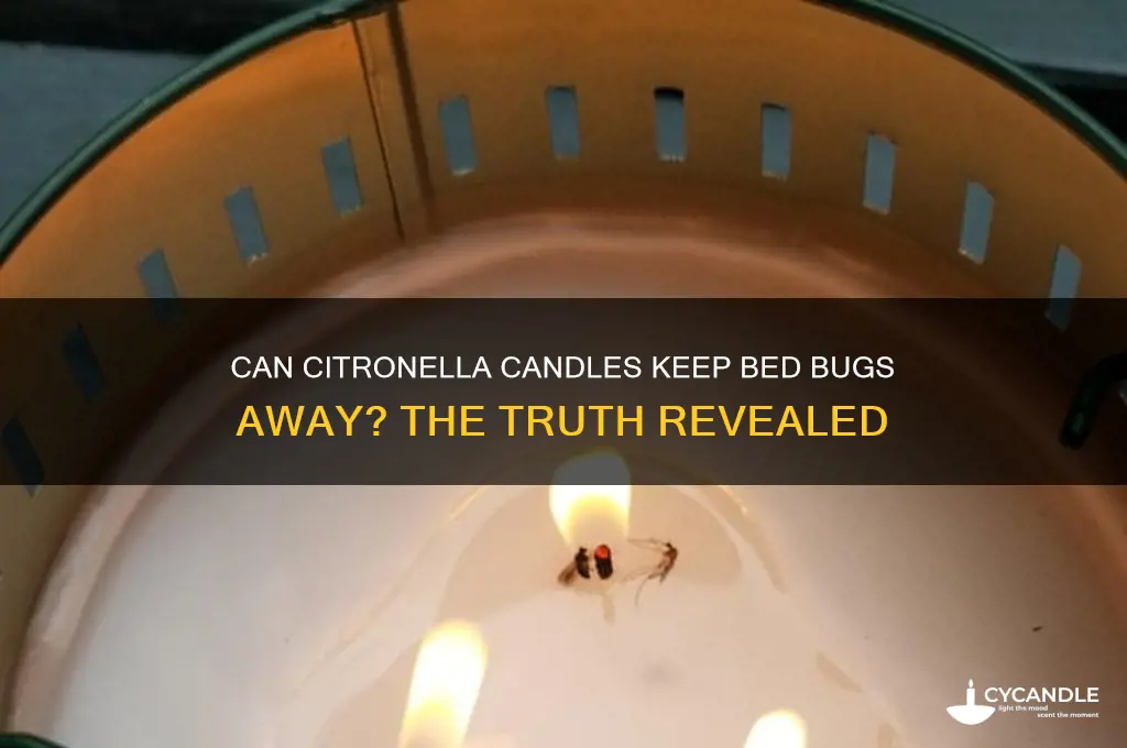 will burning citronella candles deter bed bugs