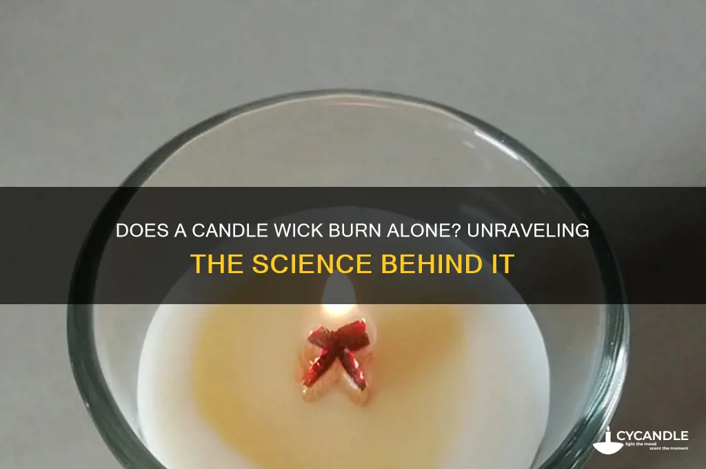 will candle wick burn alon