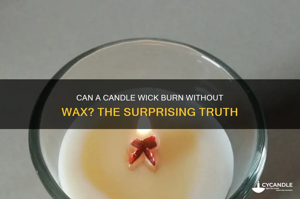 will candle wick burn alone