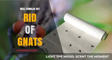 Can Candles Eliminate Gnats? Effective Methods to Try at Home