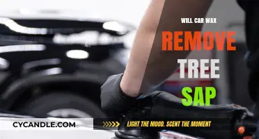 Can Car Wax Effectively Remove Tree Sap? A Detailed Guide