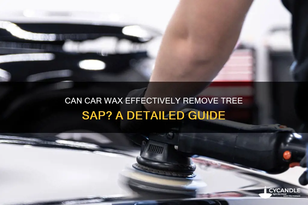 will car wax remove tree sap