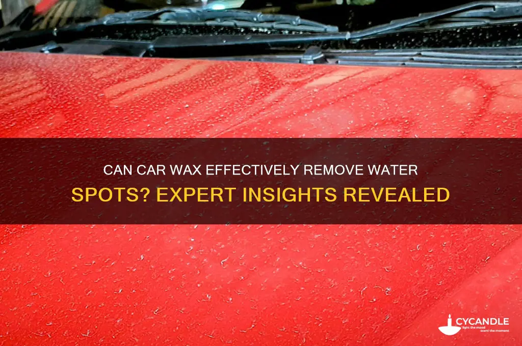 will car wax remove water spots